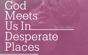 Screen Shot 2019-11-18 at 11.43.49 AM